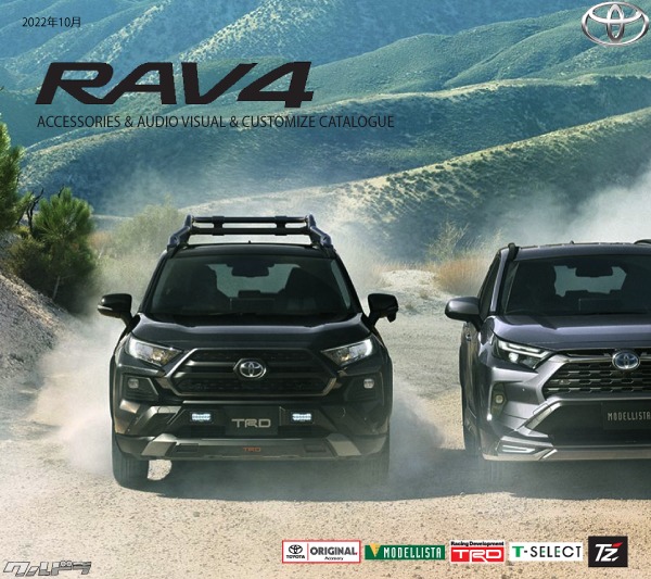 人気 さらに値引きしました！ 現行RAV4 用 RS-R 車高調 AXAH MXAA